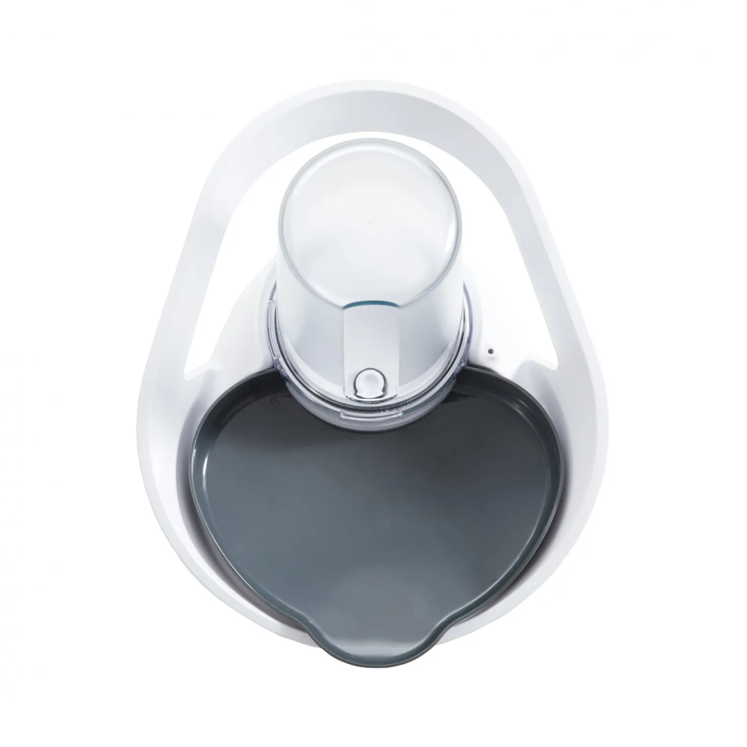 Distributeur d'eau Felaqua Connect chat