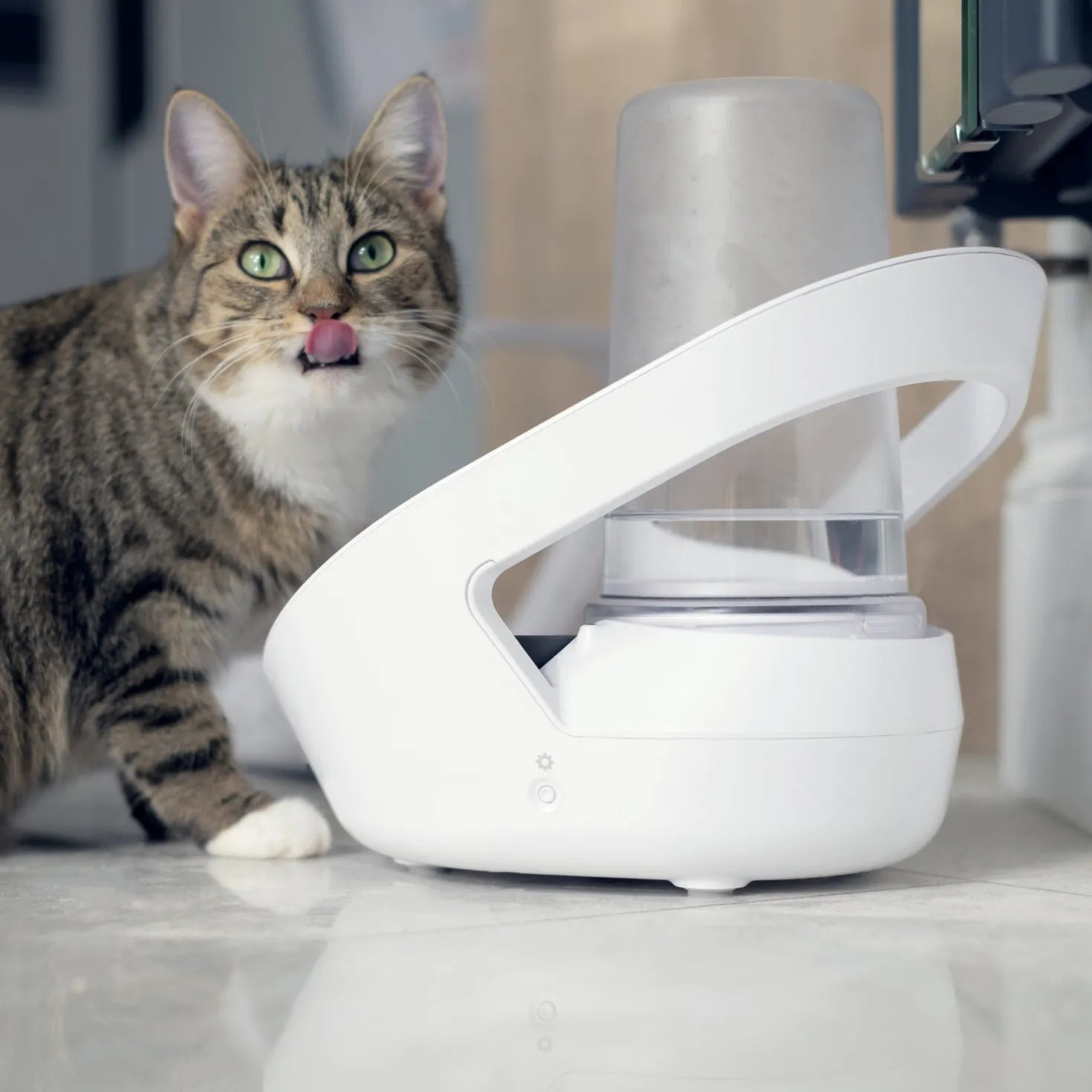 Distributeur d'eau Felaqua Connect chat