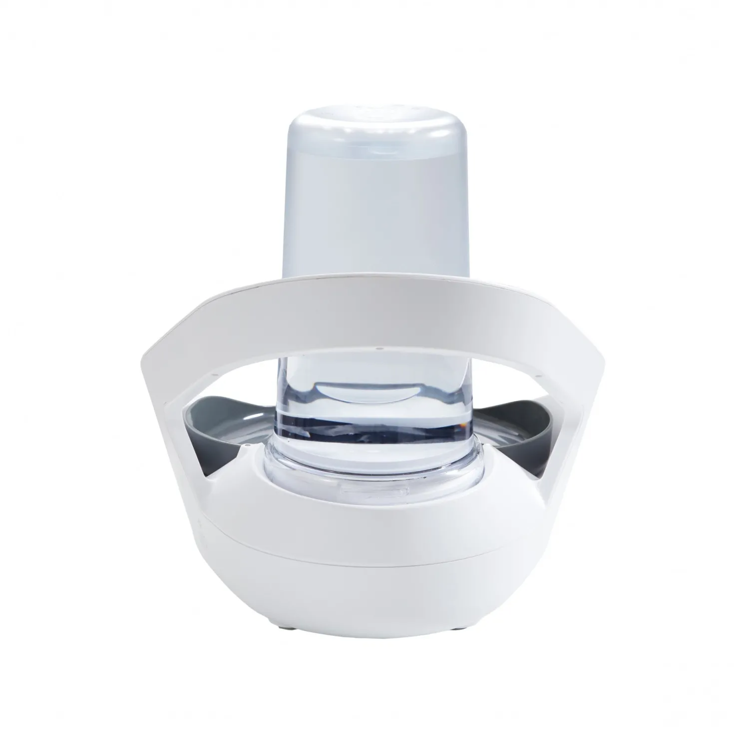 Distributeur d'eau Felaqua Connect chat