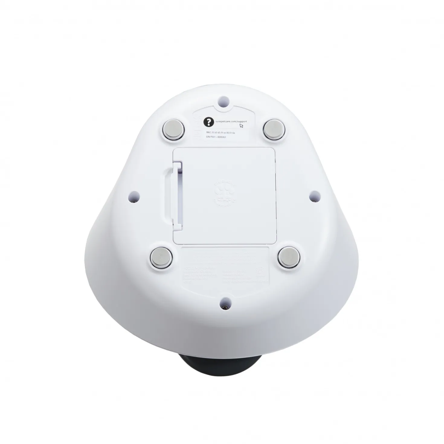 Distributeur d'eau Felaqua Connect chat