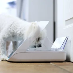 Distributeur électronique SureFeed - chat, chien
