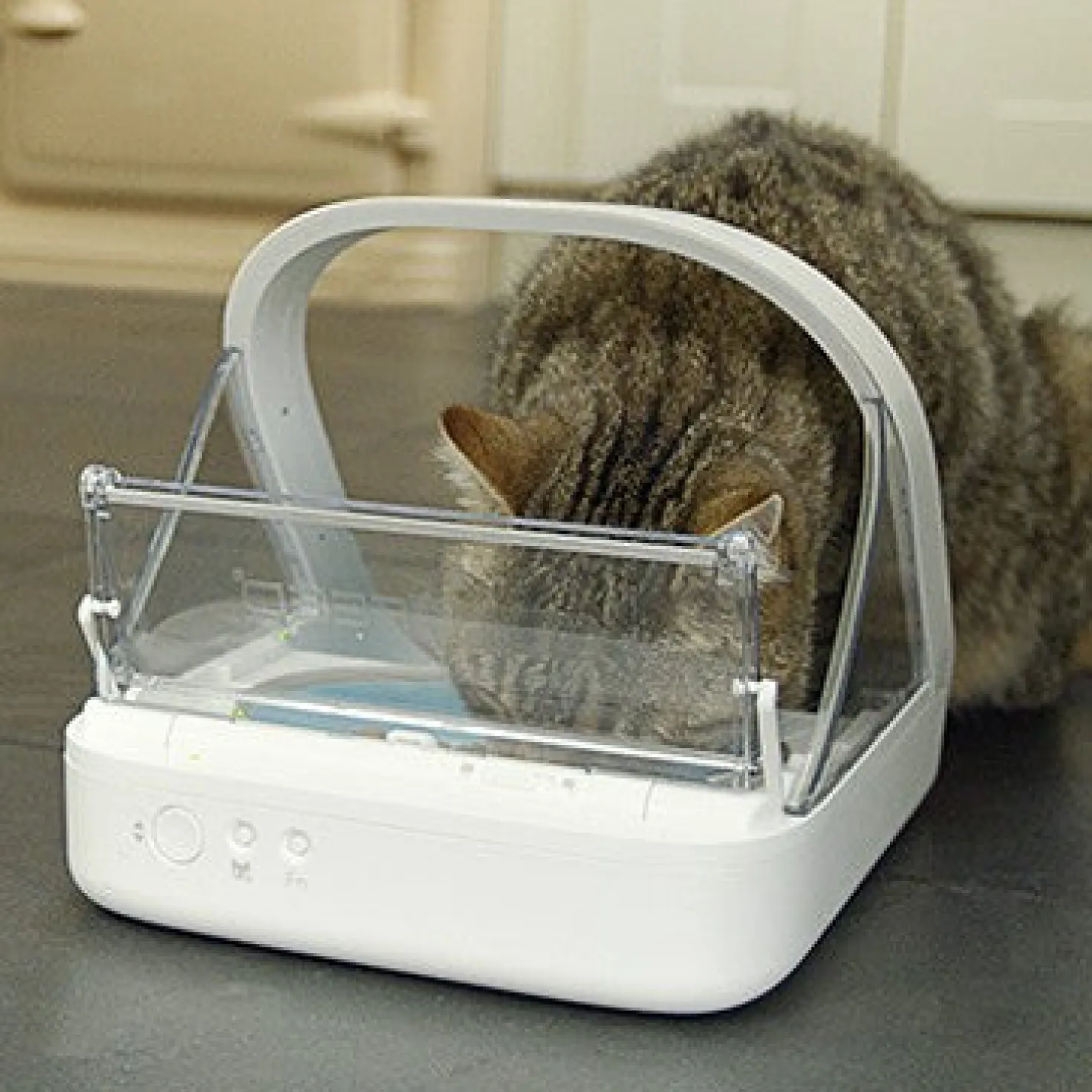 Distributeur électronique SureFeed - chat, chien