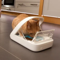 Distributeur électronique SureFeed - chat, chien