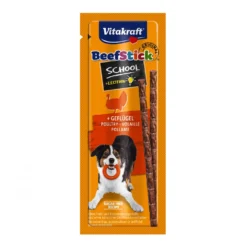 Dog Beef Sticks School