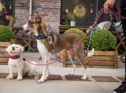 DOG COPENHAGEN - Laisse Urban Rope