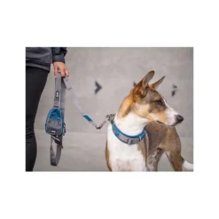 Dog Copenhagen Laisse Urban Trail