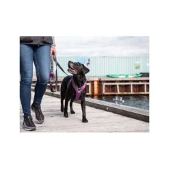 Dog Copenhagen Laisse Urban Trail