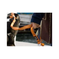 Dog Copenhagen Urban Freestyle laisse chien