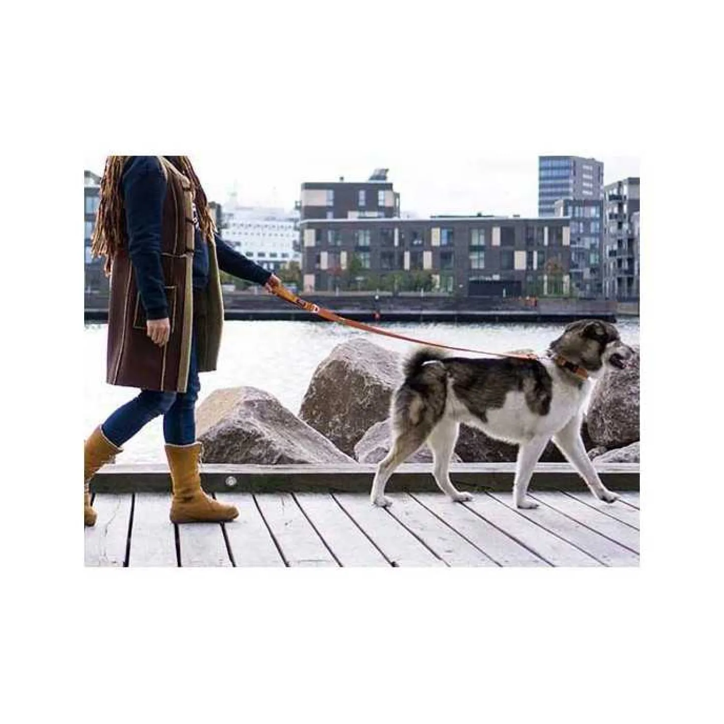 Dog Copenhagen Urban Freestyle laisse chien
