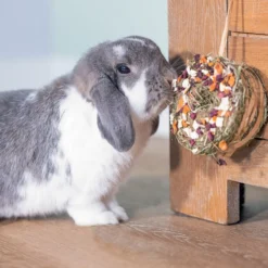 Donut de foin lapin, rongeur