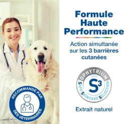 Douxo S3 Care shampooing chien, chat