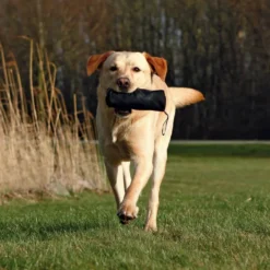 Dummy de dressage