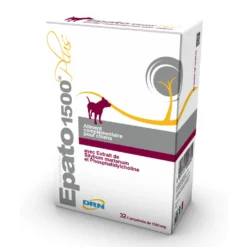 Epato chien