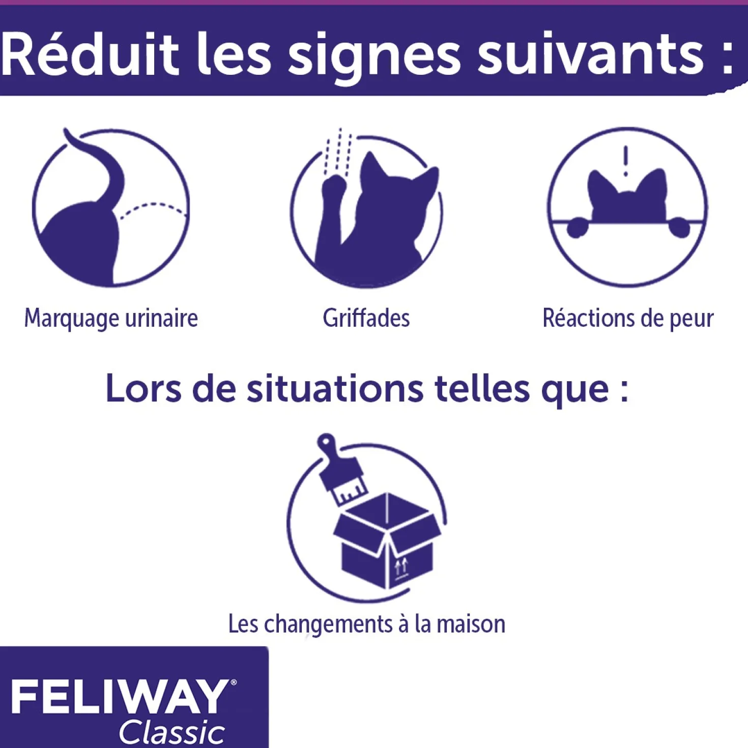 Feliway® Classic recharge - chat