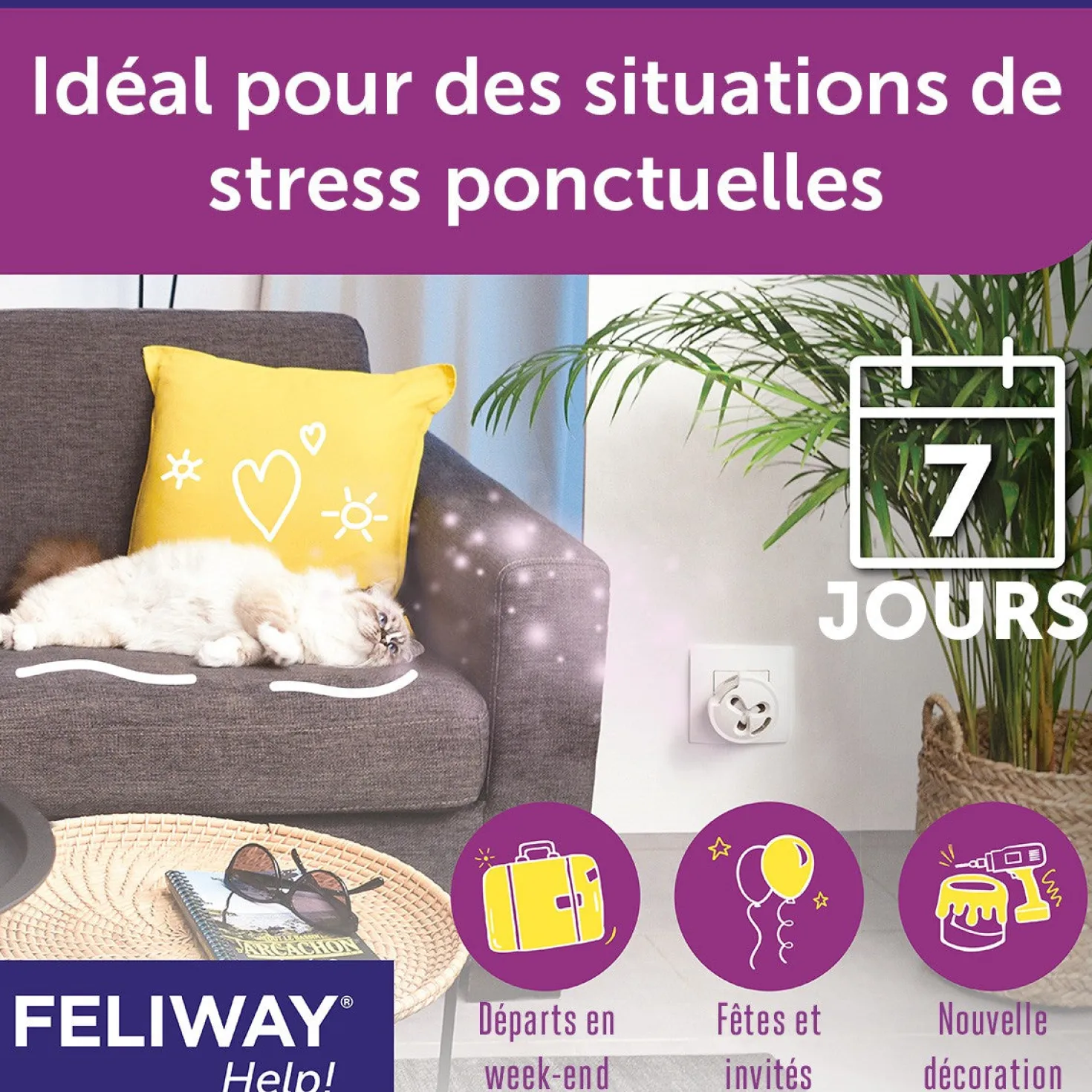 Feliway® Help! recharges