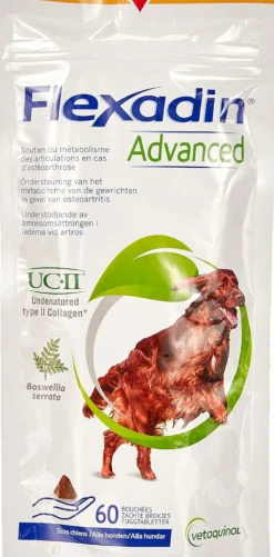 Flexadin Advanced Chew Original articulations chien