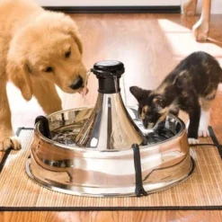 Fontaine Drinkwell Inox 360° 3.8L, chat, chien