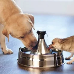 Fontaine Drinkwell Inox 360° 3.8L, chat, chien