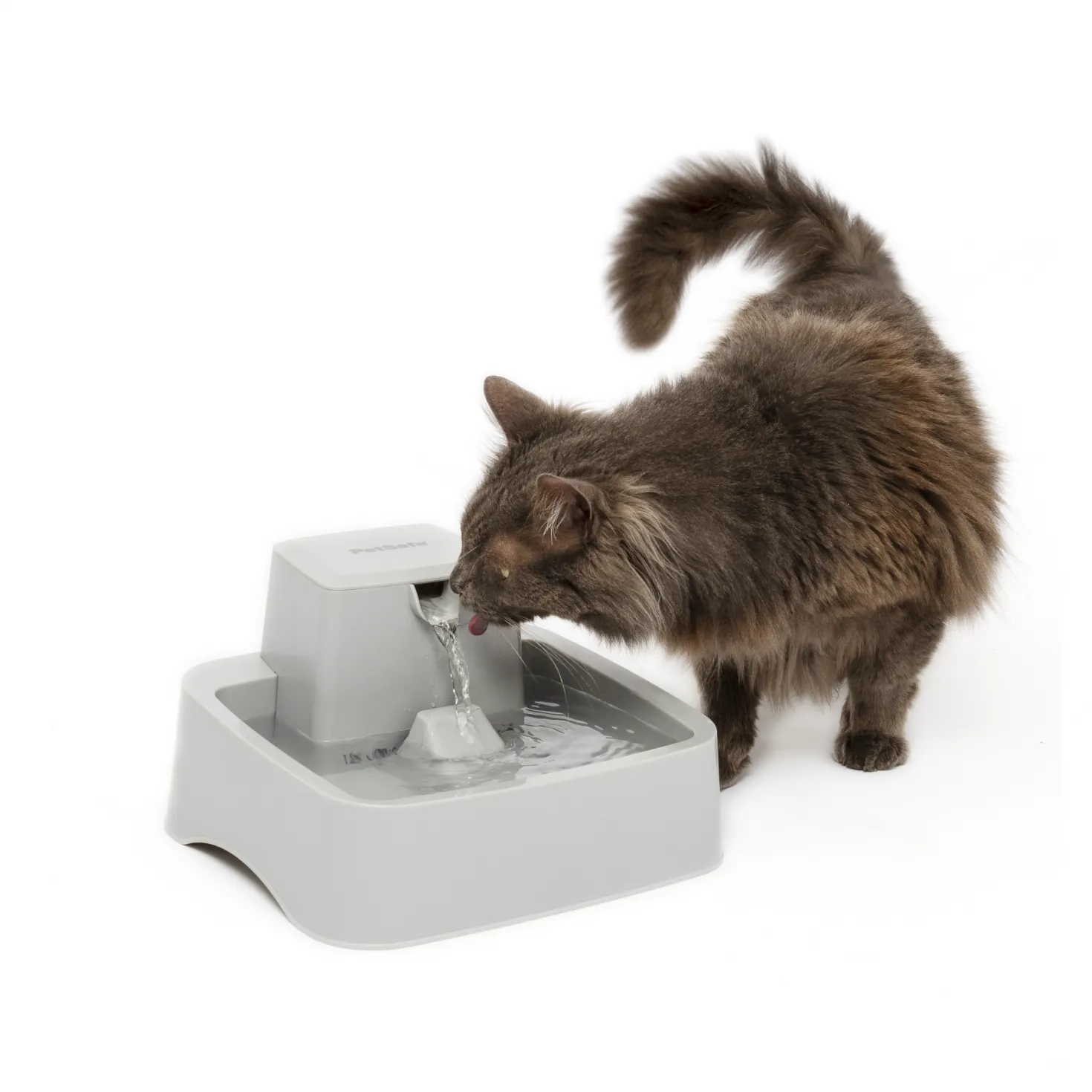 Fontaine Drinkwell PWW19 chat, chien