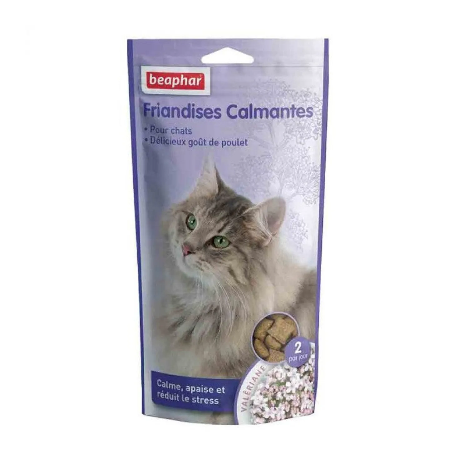 Friandises calmantes aux plantes chat