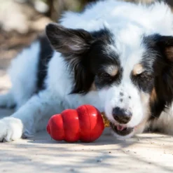 Friandises Stuff'n snacks adult KONG
