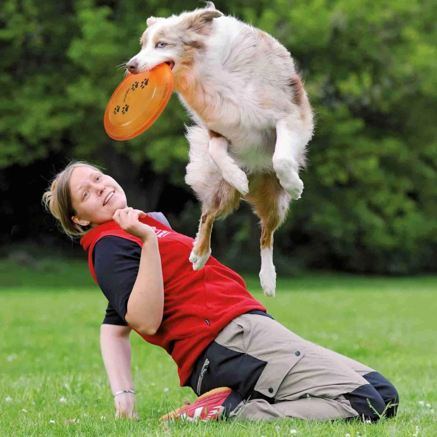 FRISBEE DOG DISC