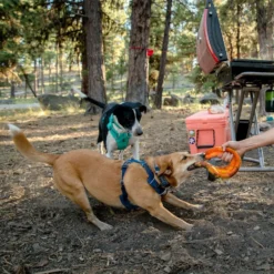 Frisbee Hydro Plane™ chien