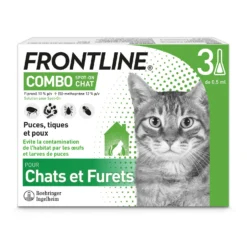 Frontline Combo chat