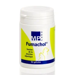 Fumachol chat, chien