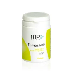 Fumachol chat, chien