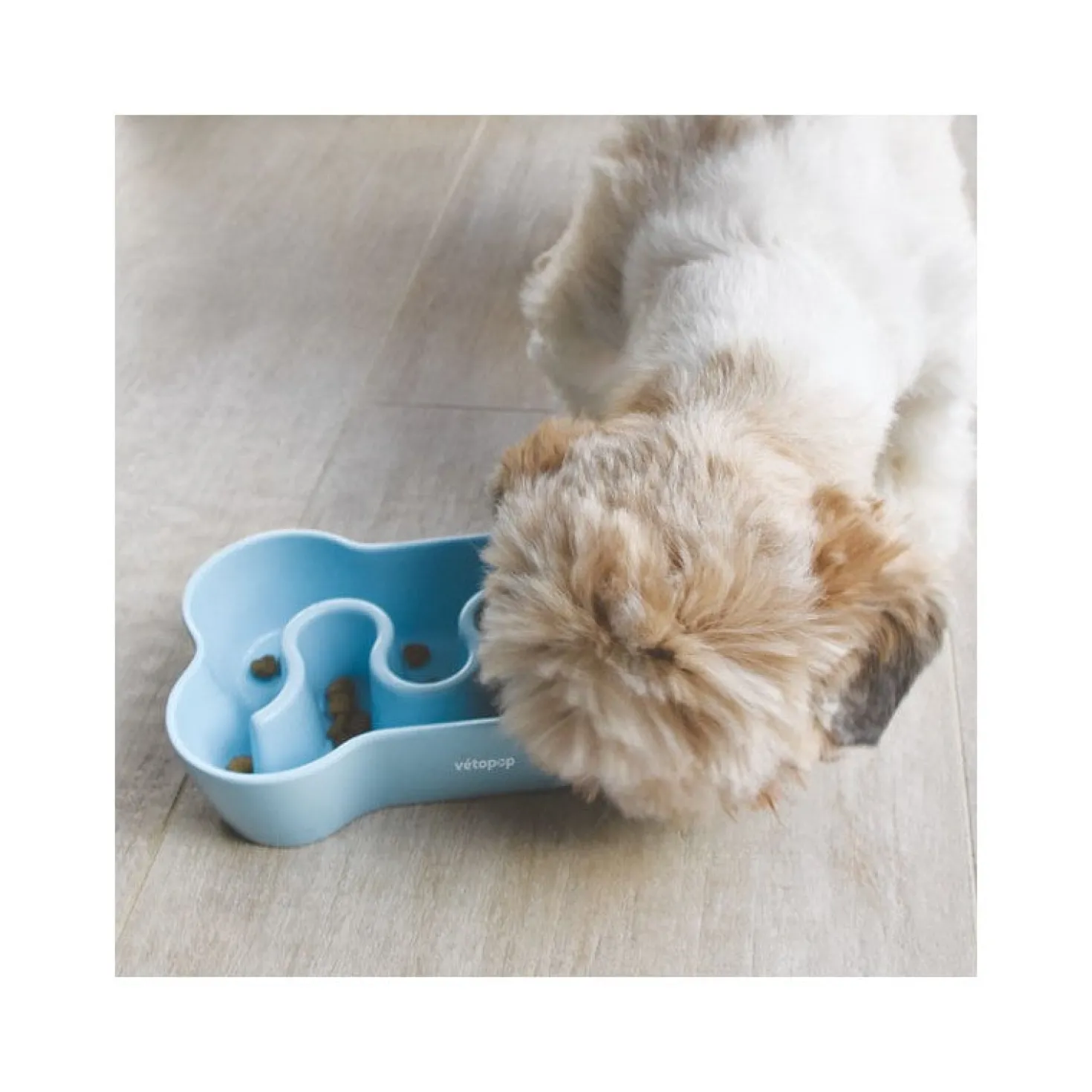 Gamelle anti-glouton chien
