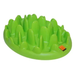 Gamelle anti-glouton Northmate Green chien