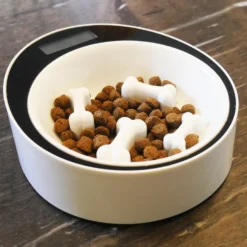 Gamelle balance anti-glouton Easy Weigh chien