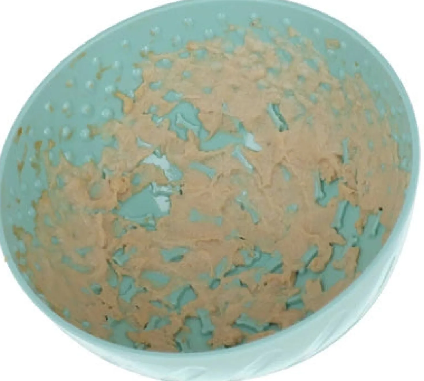 Gamelle à lecher turquoise