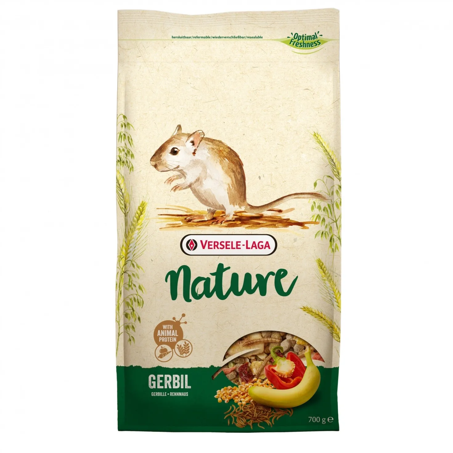 Gerbil Nature