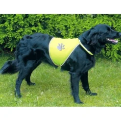Gilet de sécurité réfléchissant chien