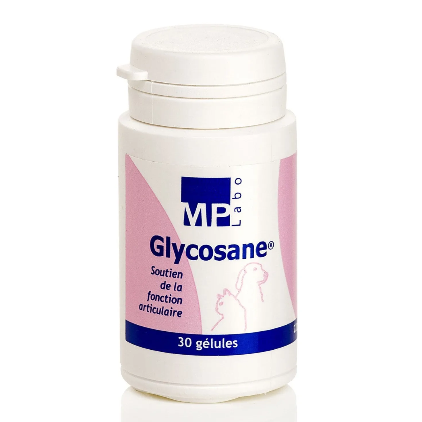 Glycosane chat, chien