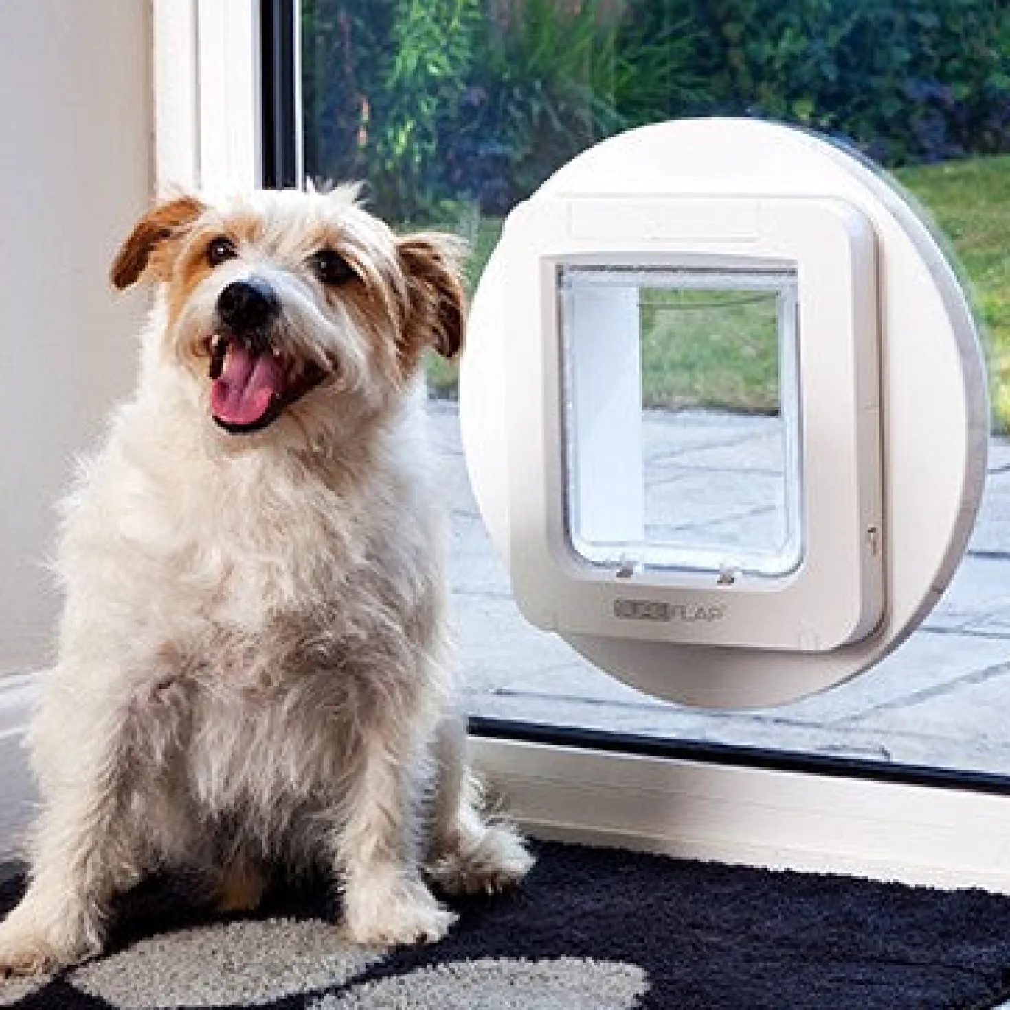 Grande chatière électronique SureFlap