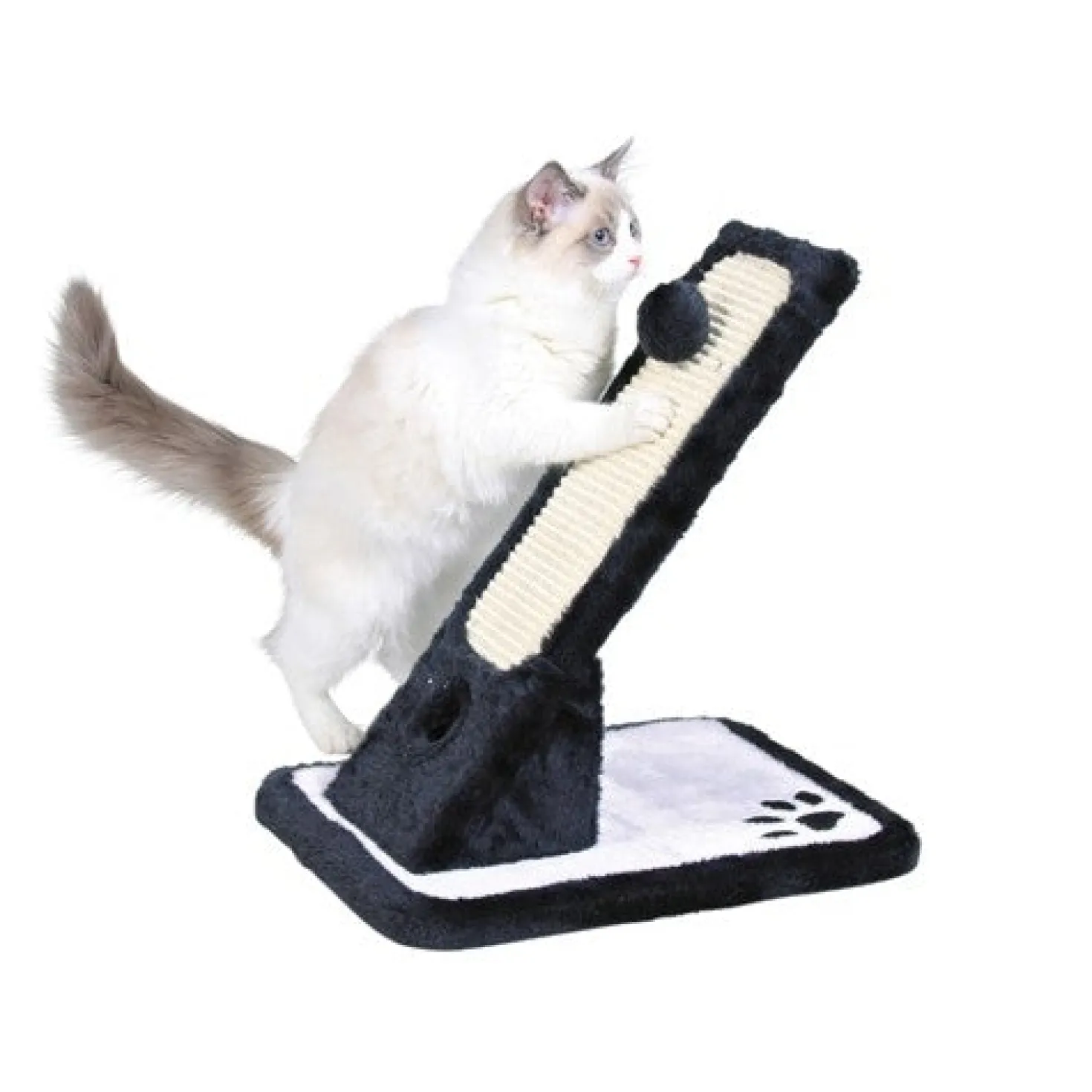 Griffoir incliné chat, chaton