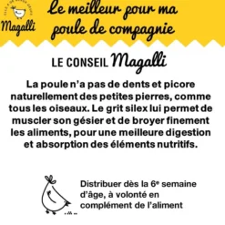 Grit poule
