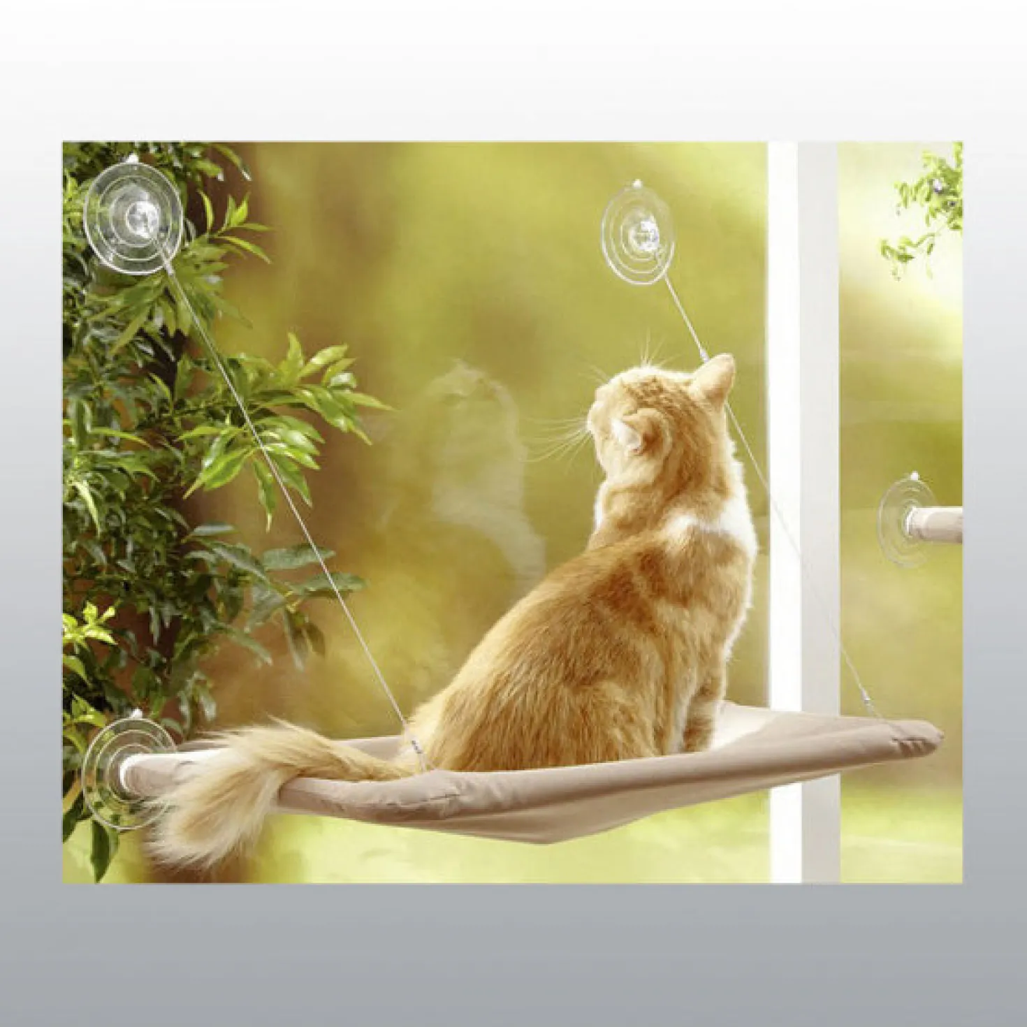 Hamac de fenêtre avec ventouses pour chat