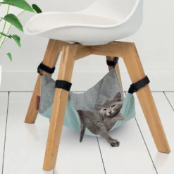 Hamac Loungy chat