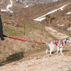 Harnais Confort Trek chien