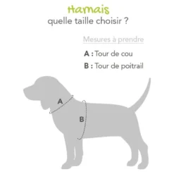 Harnais Confort Trek chien