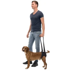 Harnais d'aide à la marche chien