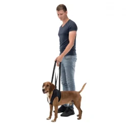 Harnais d'aide à la marche chien