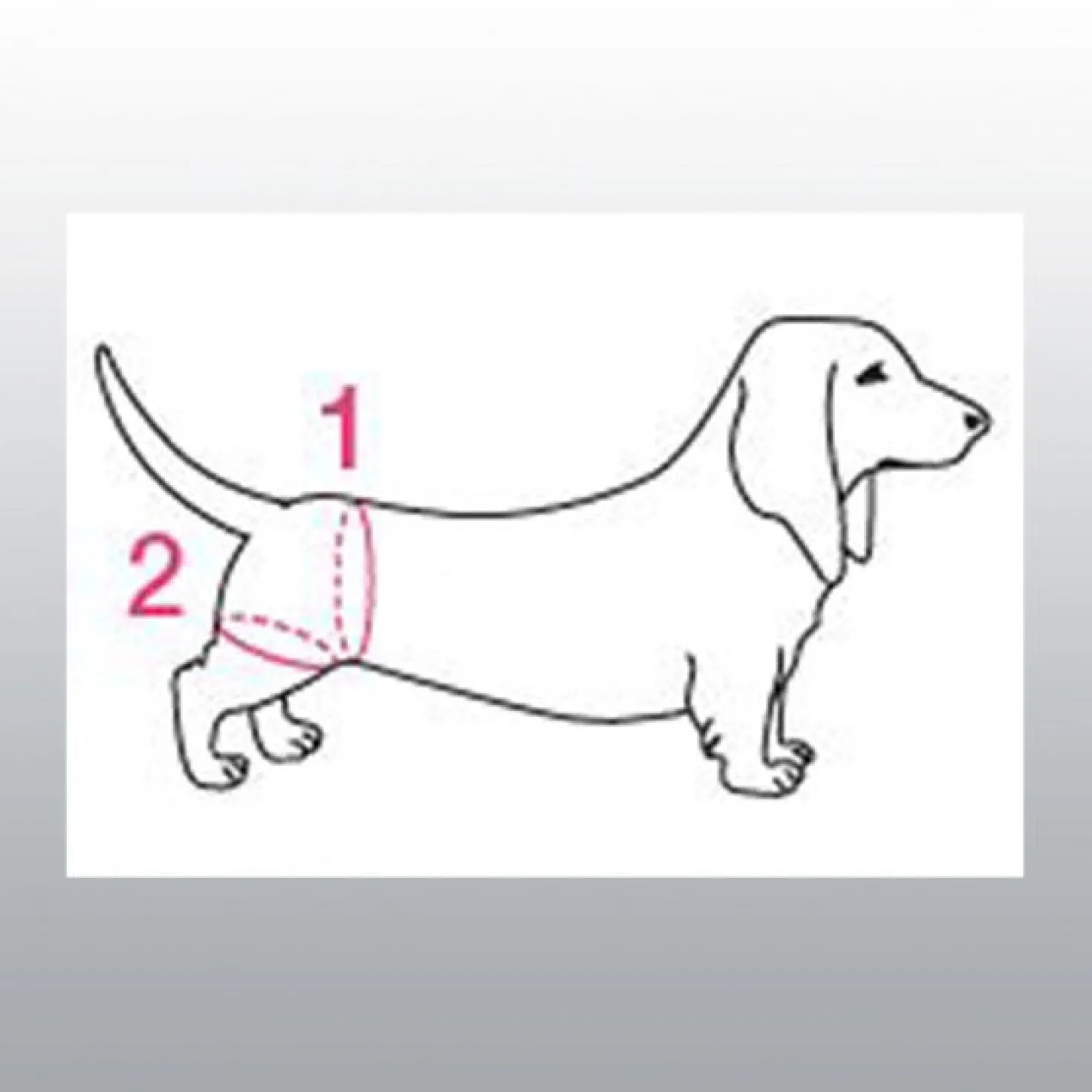 Harnais de maintien handy canis