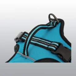 Harnais Dynamic coloré pour chien