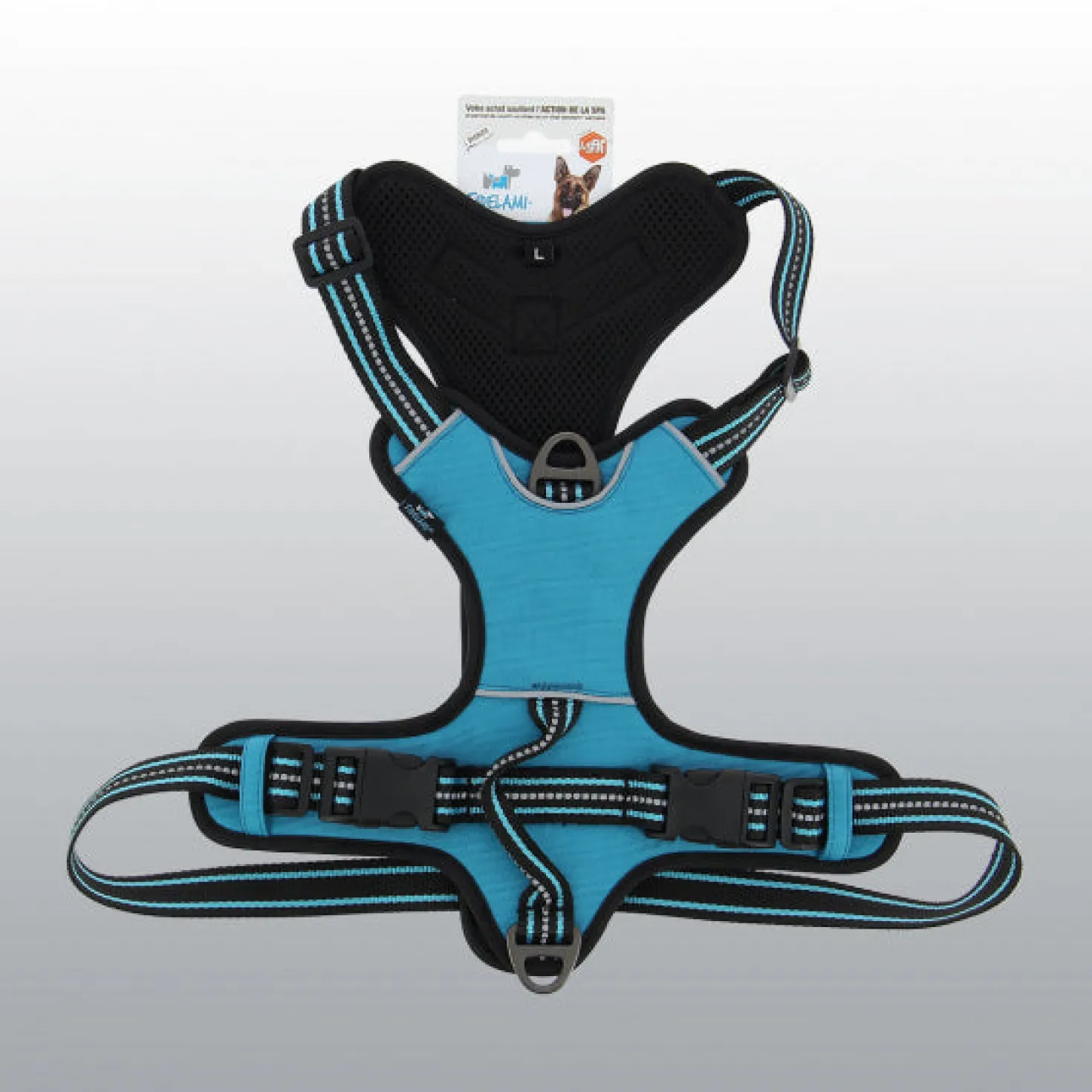 Harnais Dynamic coloré pour chien