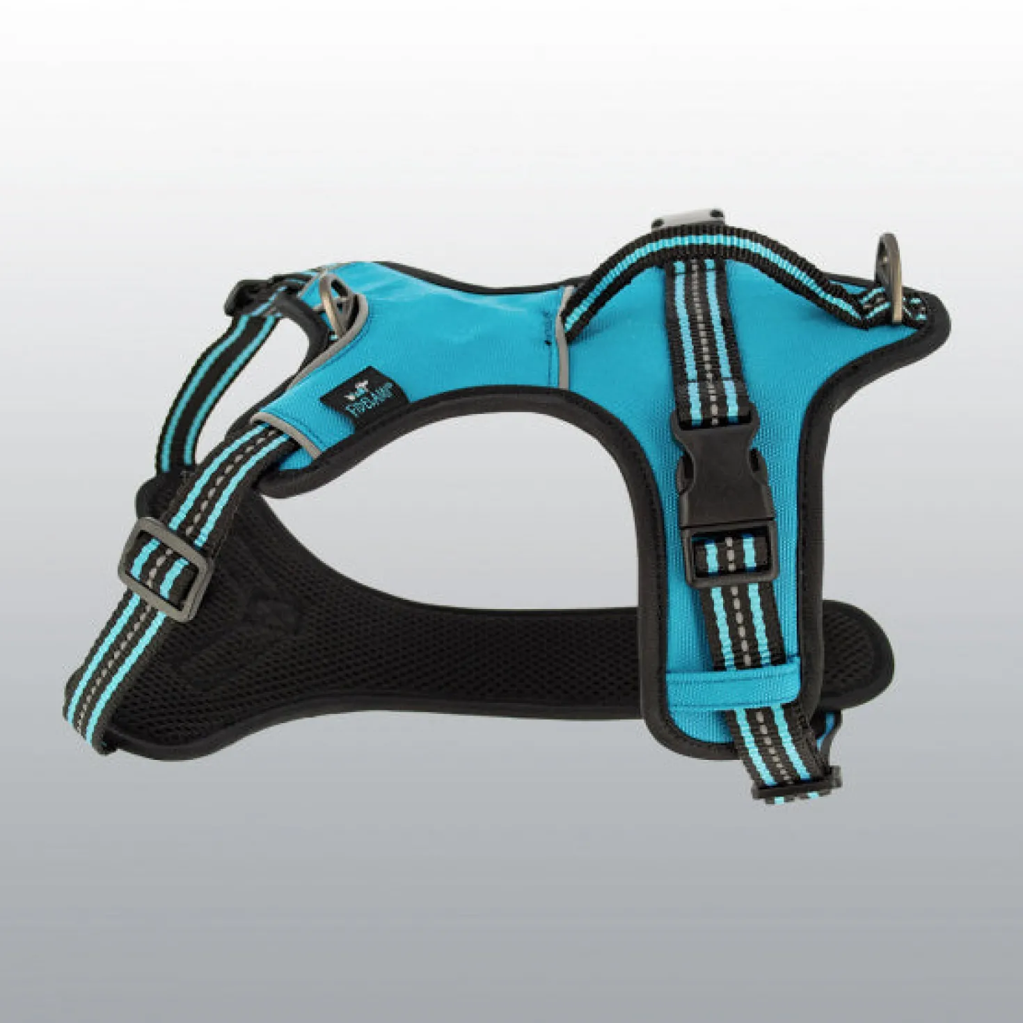 Harnais Dynamic coloré pour chien
